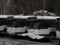 Orl�ans Urbain - MRC des Moulins 29139 and 29139 - 2004 Orion 05.501